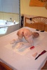 erotikus massz�zs Budapest